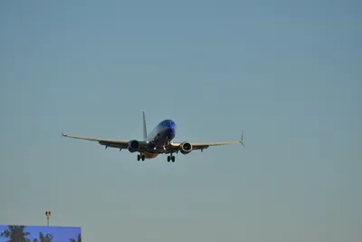 DSC_5673 (Large).JPG